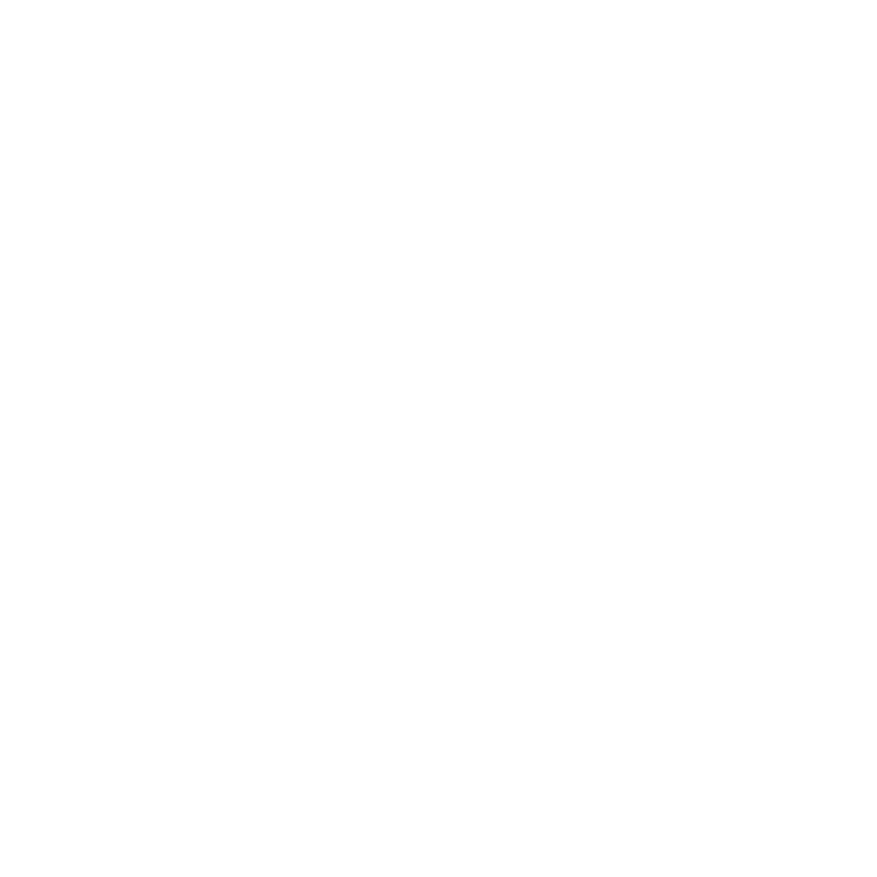GUYISA Safety Shoe